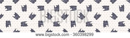 Cute Cartoon British Shorthair Kitten Seamless Border Pattern. Pedigree Kitty Breed Domestic Kitty B