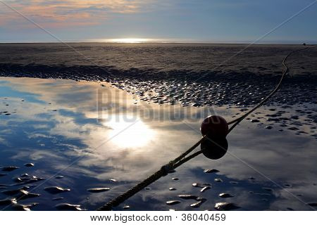 The Buoy