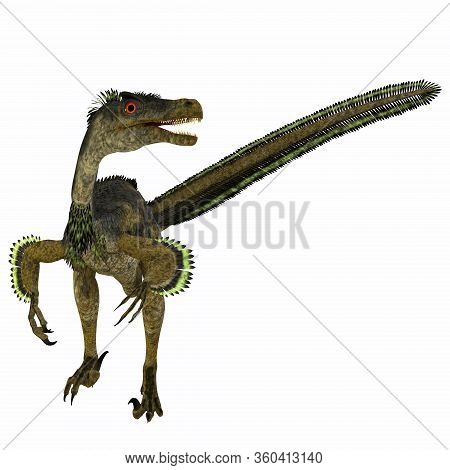 Velociraptor Dinosaur Tail 3d Illustration - Velociraptor Was A Carnivorous Theropod Dinosaur That L