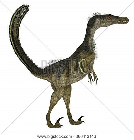 Velociraptor Dinosaur Side Profile 3d Illustration - Velociraptor Was A Carnivorous Theropod Dinosau