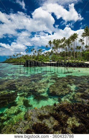 Vibrant tropical beach with palm trees, Upolu, Samoa.