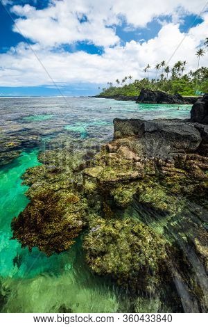 Vibrant tropical beach with palm trees, Upolu, Samoa.