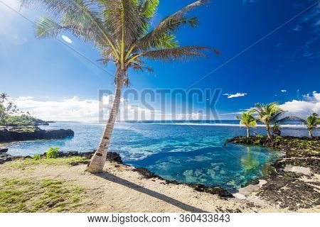 Vibrant tropical beach with palm trees, Upolu, Samoa.