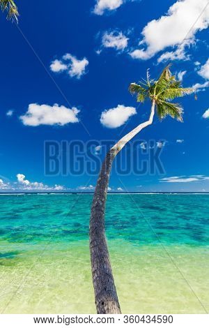 Vibrant tropical beach with palm trees, Upolu, Samoa.