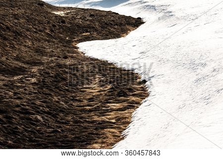 Burnt Black Earth As A Result Of Artificial Grass Burning In The Spring. The Snow Stopped Burning Th