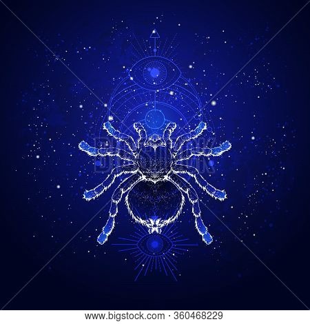 Vector Illustration With Hand Drawn Spider Tarantula And Sacred Geometric Symbol Against The Starry 