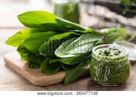 Fresh Wild Leek Leaves On A Wooden Board. Useful Properties Of Ramson. Leaves Of Fresh Ramson. Horiz