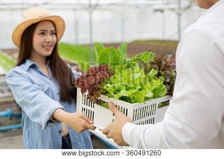 Manufacturers Send Baskets That Contain Only Clean And Quality Organic Vegetables From Hydroponics F