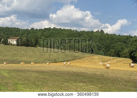 Summer Landscape Along The Road To Valico Scheggia, Arezzo, Tuscany, Italy