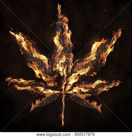 Fire Cannabis Leaves Isolated On White Background Growing Medical Marijuana Cbd Canabinol