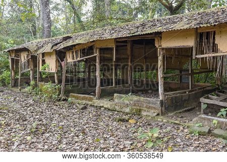Old Abandoned Tourist Resort In The Jungle Of Chitwan National Park, Nepal