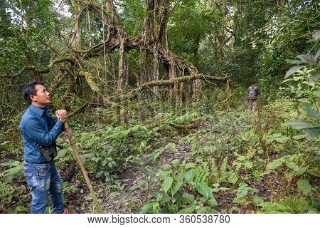 Tourists On A Safari Walk At Chitwan National Park On Nepal