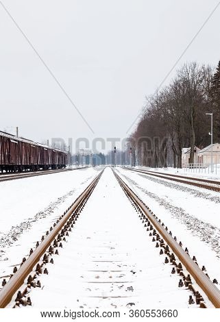 A Snow Covered Railway Track In Sigulda.  The View Along A Snow Covered Railway Track In Sigulda, La