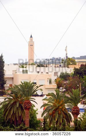 Cityscape bygninger moské planter træer Carthage Tunesien