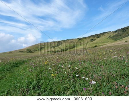Öppen äng på South Downs