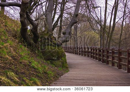 Cesta dřeva v Old Park
