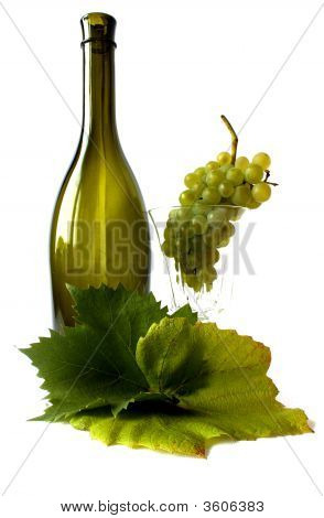 Grapevine.