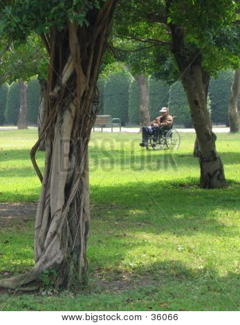 Pensando sobre o passado