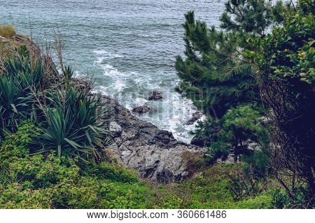 Rocky Coastline Of Dongbaekseom Island With Green Growing Trees And Plants On Gloomy Day