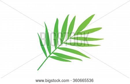 Green Plant Leaves Stems Vector Illustration Isolated For Mobile,ui,game,web.