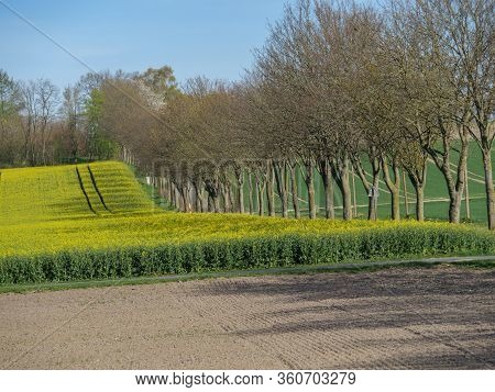 sunny day in the baumberge in germany