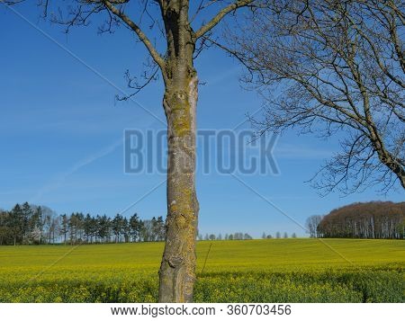 sunny day in the baumberge in germany