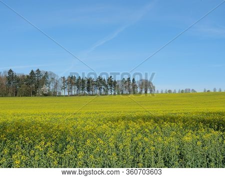 sunny day in the baumberge in germany