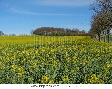 sunny day in the baumberge in germany