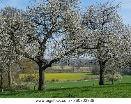 sunny day in the baumberge in germany