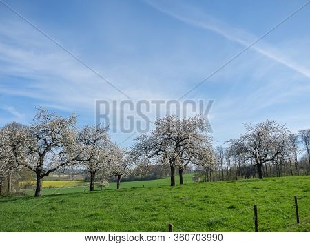 spring time in the baumberge near billerbeck