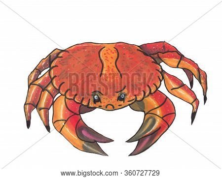 Colorful Crab. Marker Hand Drawn Illustration. Wildlife Concept.
