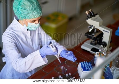 Lab worker female analysing samples on Corina virus