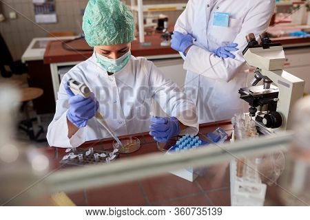  Lab technician doing blod test on corona virus in laboratory