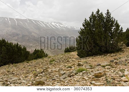 The Atlas In Morocco