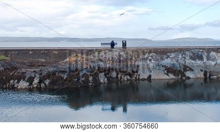 Lonely Man Sitting Alone On A Bench With A Seagull For Company On The Coast In Bangor, Northern Irel