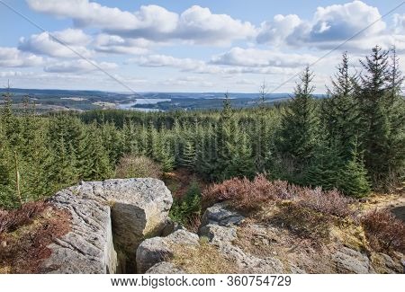 Panoramic View Kielder Water And Forest Park With Conifer Trees And Clear Summer Blue Skies, Uk