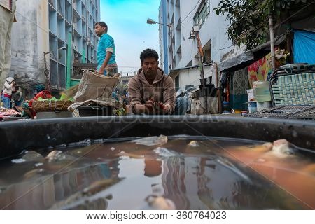 Kolkata, West Bengal, India - 16th December 2018 : Alive Fishes For Sale. Young Man Selling Them In 