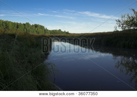 Forest River