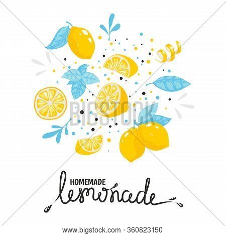 Homemade Lemonade Hand Drawn Typography. Summer Natural Cold Cocktail With Lemon. Vector Handmade Dr