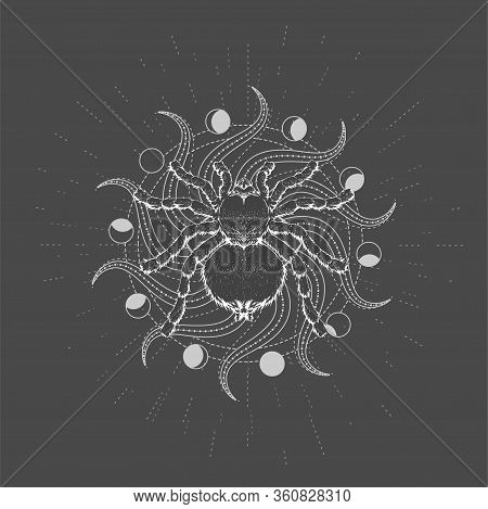 Vector Illustration With Hand Drawn Spider Tarantula And Symbol Sun On Black Background. Abstract My