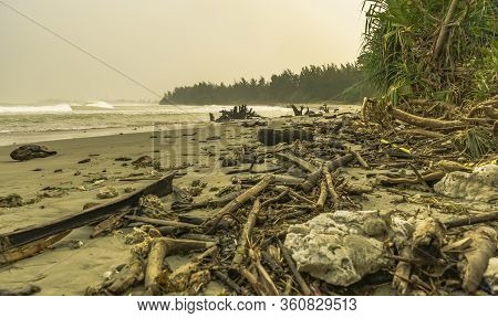 Wild Untouched Dirty Beach Scene With Many Drift Wood On The Shore Because Of High Waves. Haze And G