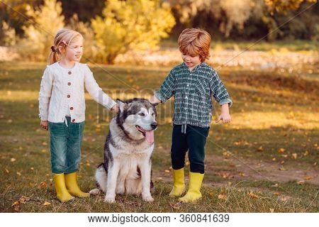 Happy Little Children Having Fun With Dog Pet On Field. Child 5 Years Old. Carefree Childhood. Kids 