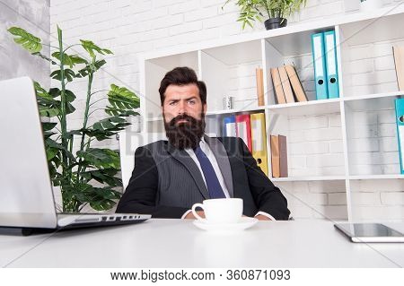 Respectable Ceo. Man Handsome Boss Sit In Office Drinking Coffee. Comfy Workspace. Bearded Hipster F