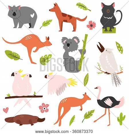 Big Flat Set Of Australian Famous Animals Koala, Ostrich, Kangaroo, Platypus Etc