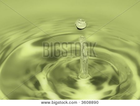 Gota