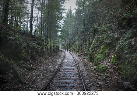 Goldstream Railway Trestle Is Located In Goldstream Provincial Park In Canada