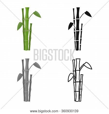 Isolated Object Of Bamboo And Tree Logo. Collection Of Bamboo And Green Vector Icon For Stock.