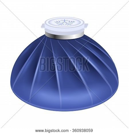 Ice Bag Vector Icon.realistic Vector Icon Isolated On White Background Ice Bag.