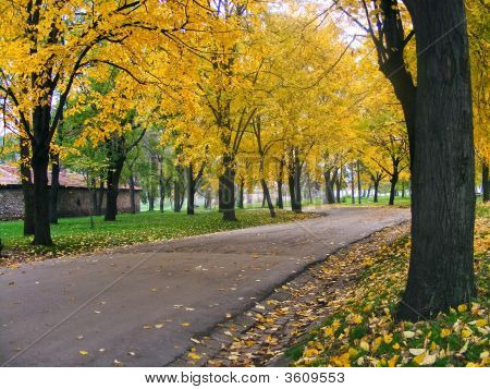 Autunno nel parco