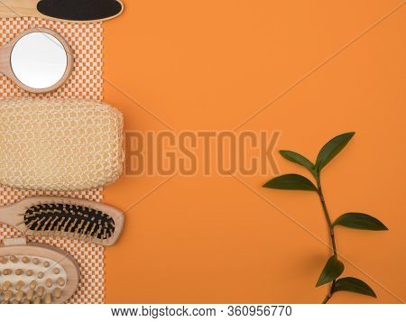 Toiletries And Green Plant On Orange Background. Accessories Personal Care Of Environmental Material